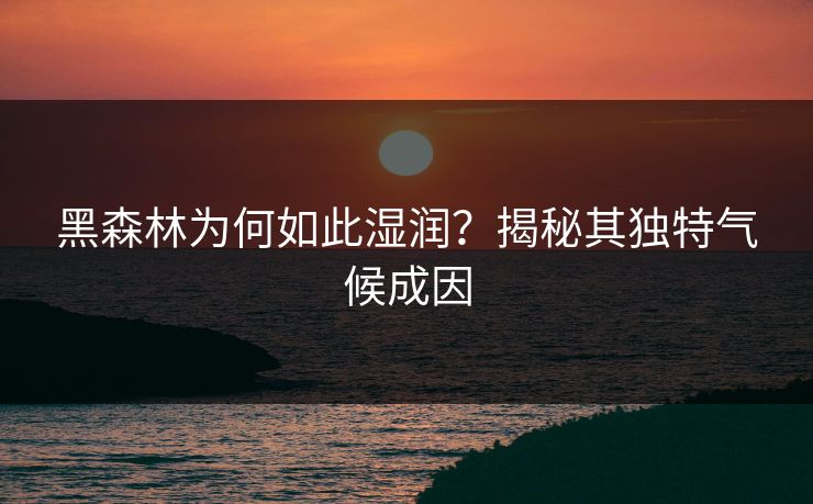 黑森林为何如此湿润？揭秘其独特气候成因