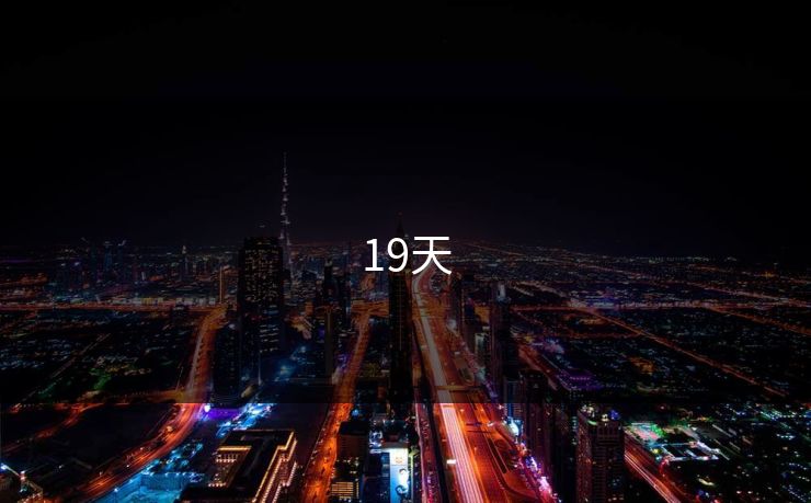 19天