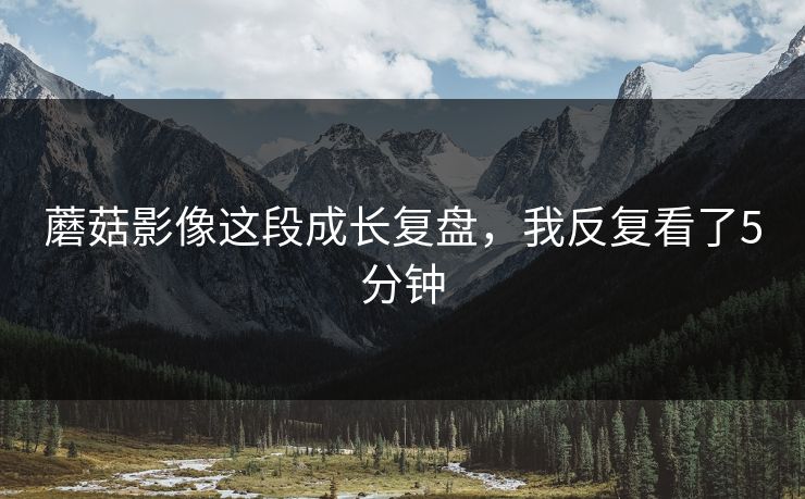 蘑菇影像这段成长复盘，我反复看了5分钟